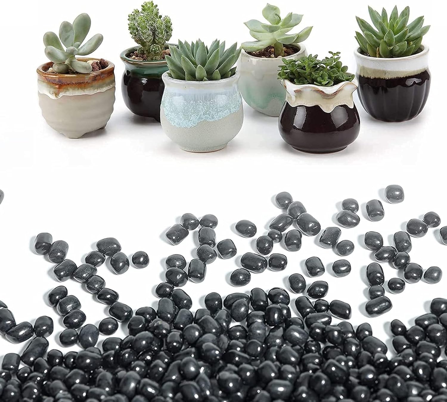 T4U Succulent Pots with Black Gravels 1 lb
