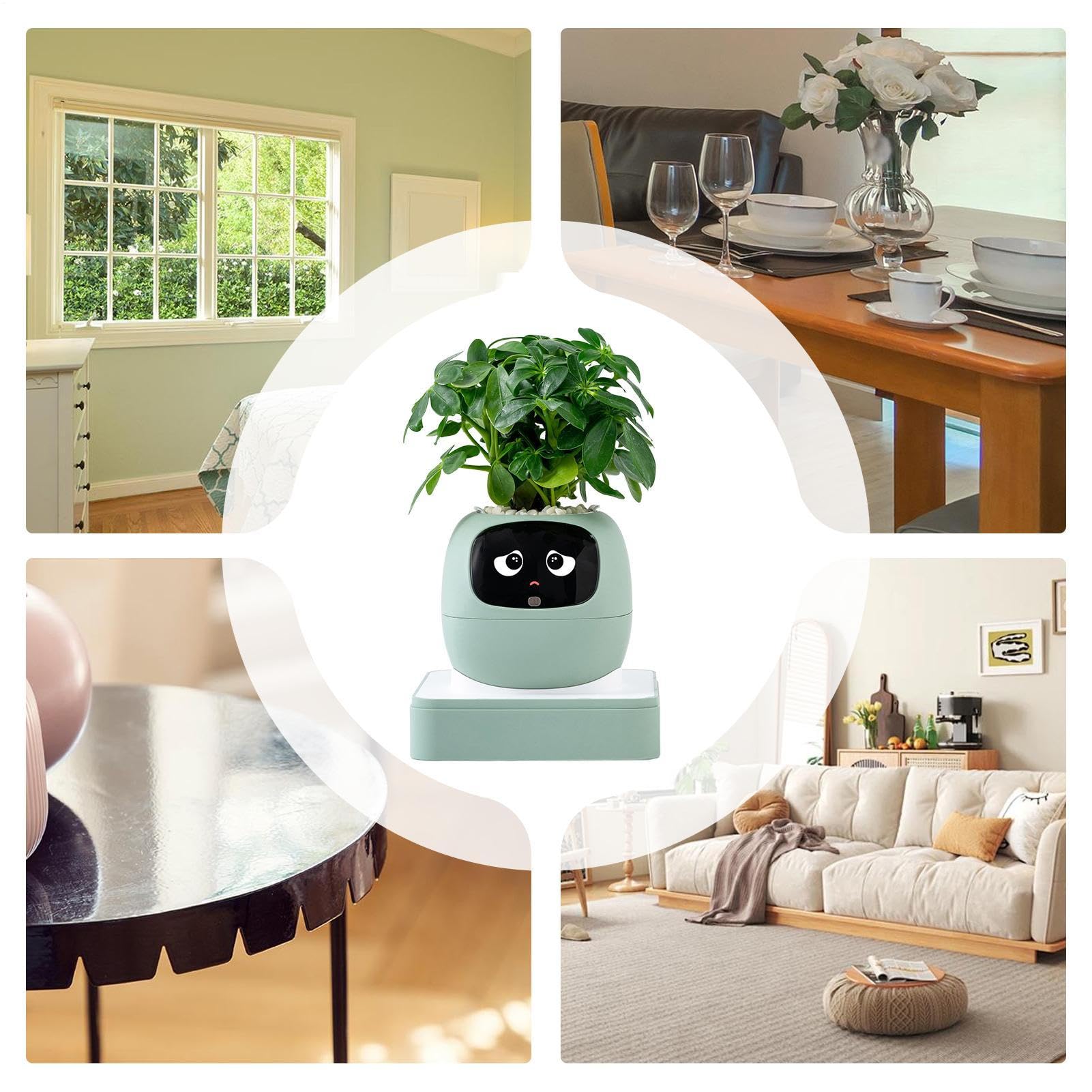 Smart Plant Pot AI – Fioriera per la cura degli animali domestici, piccoli cactus, interni, appartamento, ufficio, soggiorno, camera da, appartamento, ufficio, soggiorno, camera da