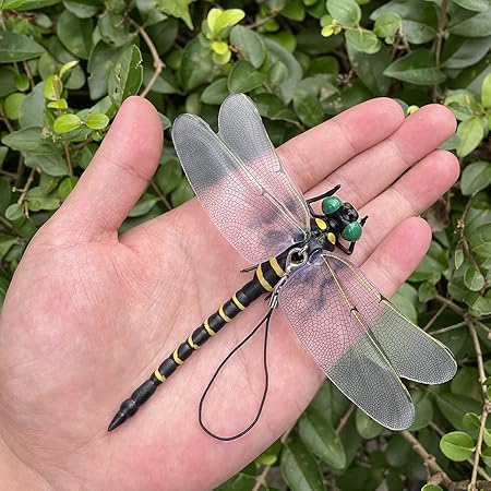 Amazon 虫除け 大きいサイズ 最新デザイン 13cm級 精巧 繊細な作り 蜂 アブ天敵 リアル トンボ 虫対策 置物 いきいき おもちゃ 釣り キャンプ 登山 渓流釣り １匹 ストラップタイプ プラモデル 通販