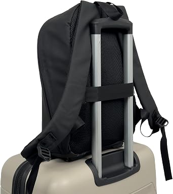 Reymond 1941 Rivera One-Eyed Laptop Split Backpack