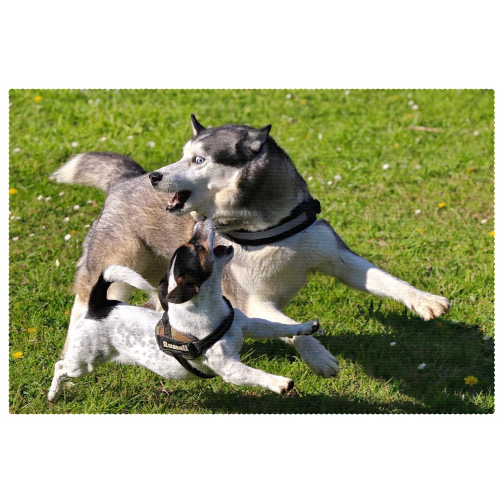 Set de table Play Husky anti-tache et lavable pour protéger vos meubles des plats