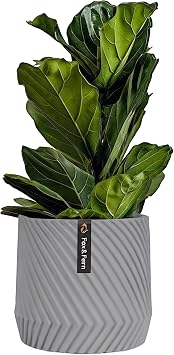Fox & Fern Plant Pot, Large Plant Pots for Indoor & Outdoor, UV & Frost Resistant Plant Vase with Drainage Plug, Polystone, Large Indoor Pots for Plants & Flowers, House Indoor Plant Pot, Single Pot
