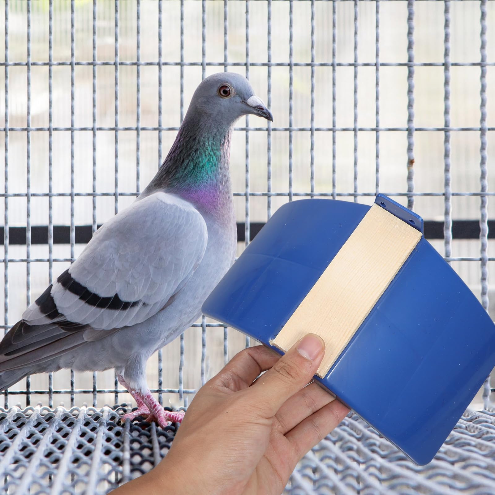 10 Piezas de Perchas de Madera y PP para Aves y Loros, Pulidas y Seguras, Ideales para Posaderos en Jaulas y Descanso Hogar