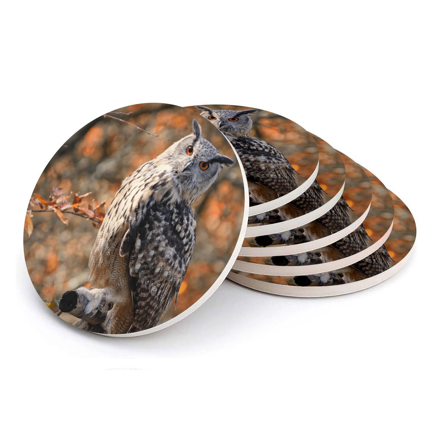 Sous-verre ronds en céramique hibou d'automne lot de 6 pièces de 108mm