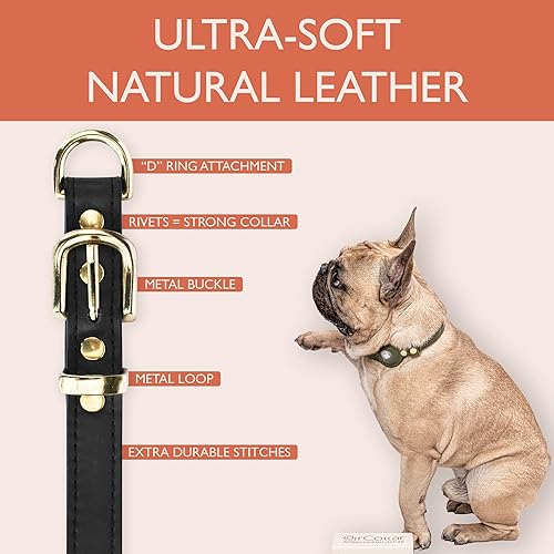 Miniatura 4 de Apple AirTag - Collar de cuero natural para mascotas, compatible con Apple AirTag 2021, cuero duradero (S 0.6 pulgadas de ancho para cuello de 12 a