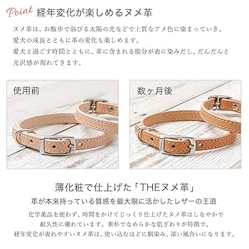 Amazon | Choupet 犬 首輪 小型犬 栃木レザー ヌメ革 本革 日本