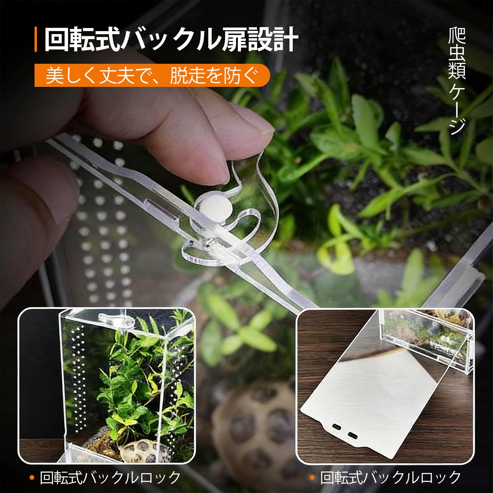 Amazon | Ahgwiu 爬虫類 シェルター レプタイル ボックス ヒョウモン