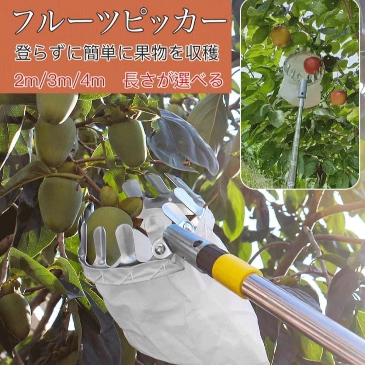 果物狩り 網果物取り高枝取り伸縮式果樹用フルーツピッカー果物収穫 高枝用ポールとバスケット付きフルーツピッカー 果物キャッチャー 果