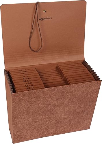 Tienda Basics Organizador de archivos expandible con solapa, pestañas mensuales (enero a diciembre)