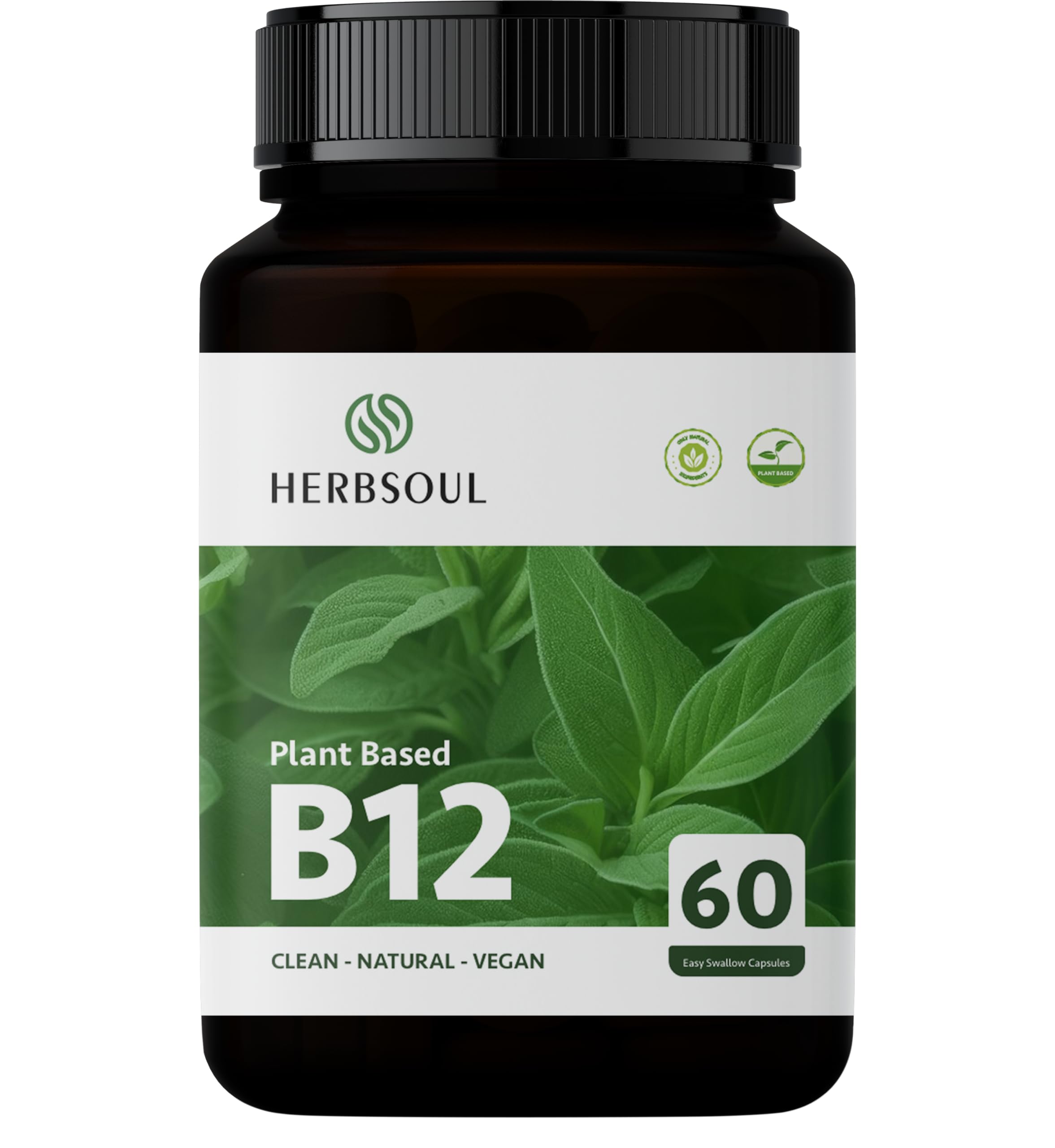 Herbsoul Plant Based Vitamin B12 Supplement for Men & Women Vegetarian| Good For Digestion And Nerve Health | Glowing Skin For Men & Women Supports Healthy Mood, Energy, Heart & Eye Health 60 Capsules (B0CXDKY24M) Amazon Price History, Amazon Price Tracker