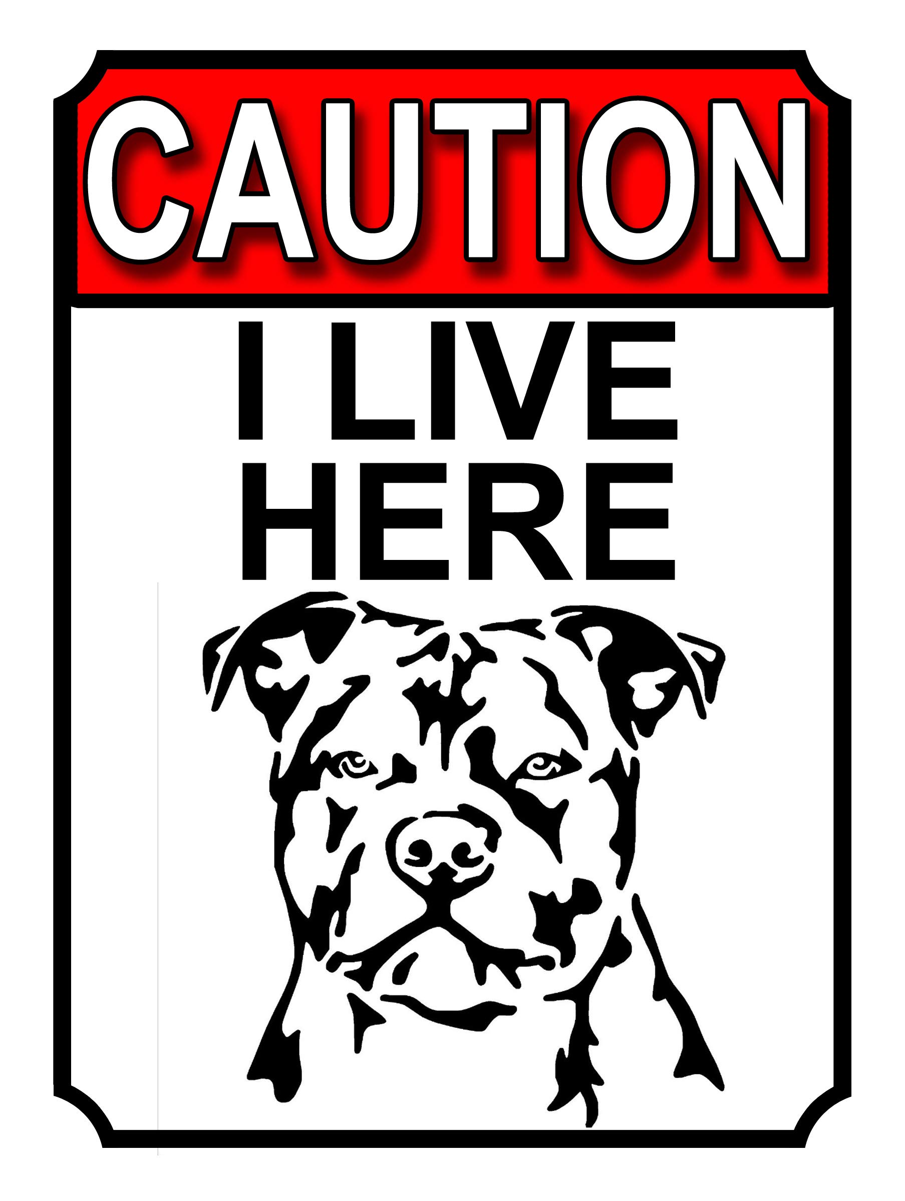 CAUTION I LIVE HERE METAL GATE SIGN DOG THEME 200MM X 150MM (1688H1)-image-11