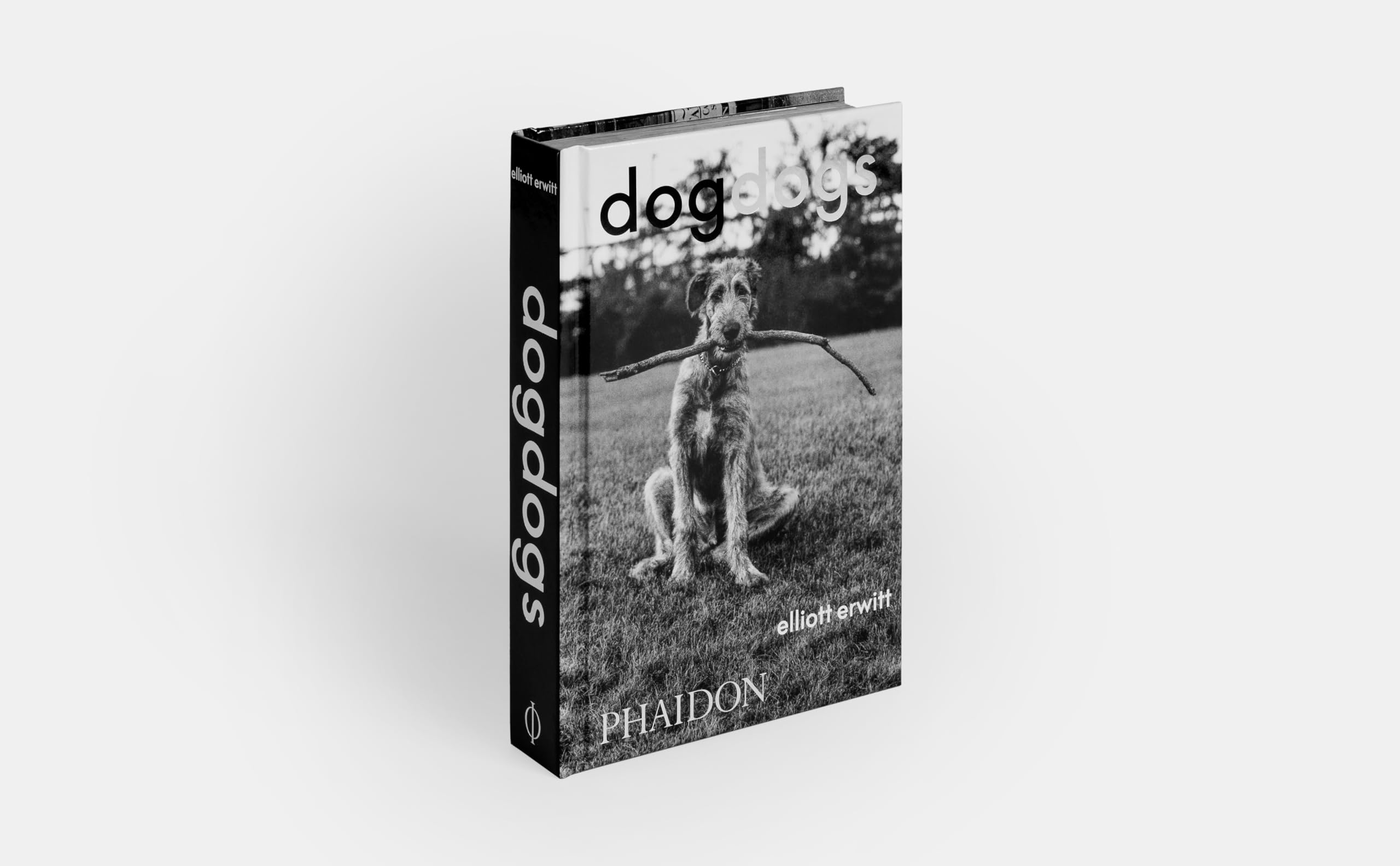 Dogdogs (PHOTOGRAPHY)
