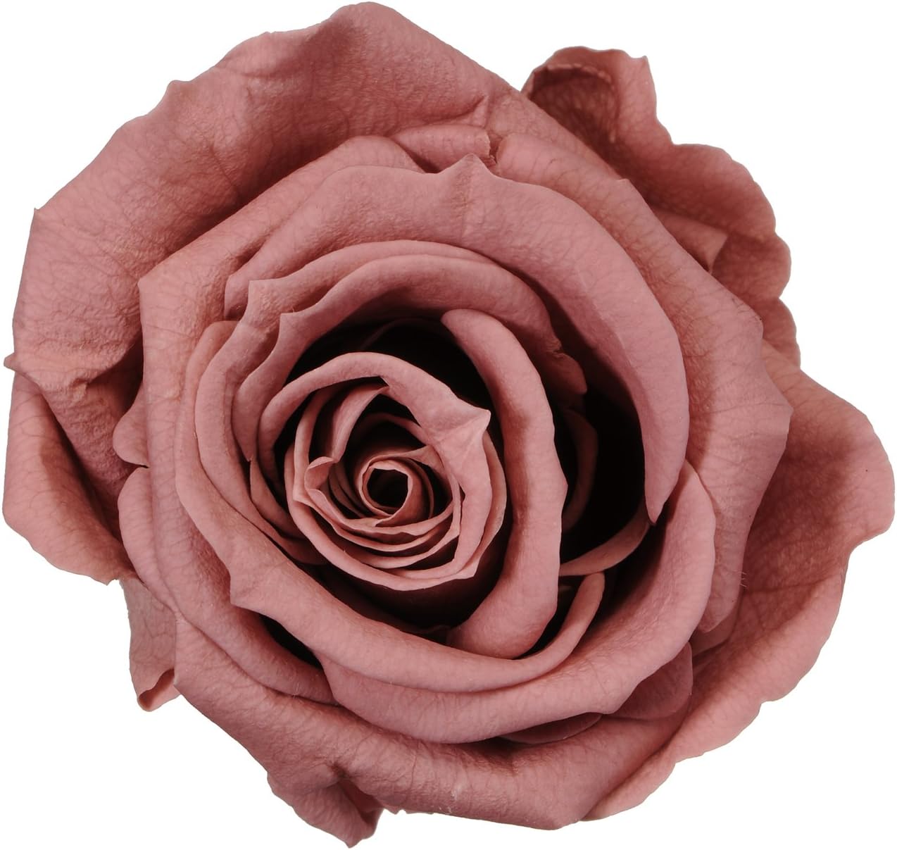 Florever FL0300-73 Flor Ever Media Rose Smoky Pink