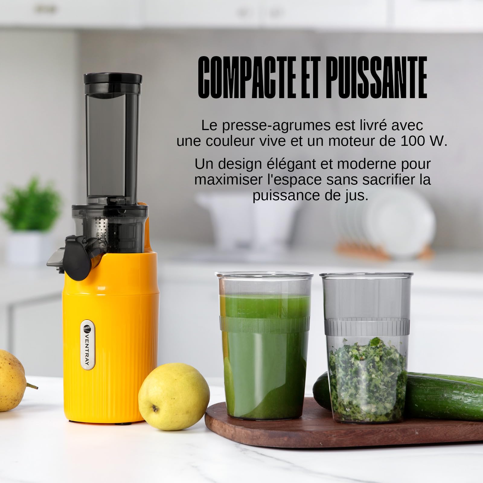 Ventray Extracteur de Jus - Slow Juicer Pression Douce 60 Tours, Presse à froid, Fonction de Mastication Inversée, Extracteur de Jus de Fruits et Légumes Sans BPA, Facile à nettoyer, Vert Perroquet