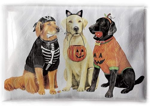Mary Lake-Thompson Flour Sack Dish Towel