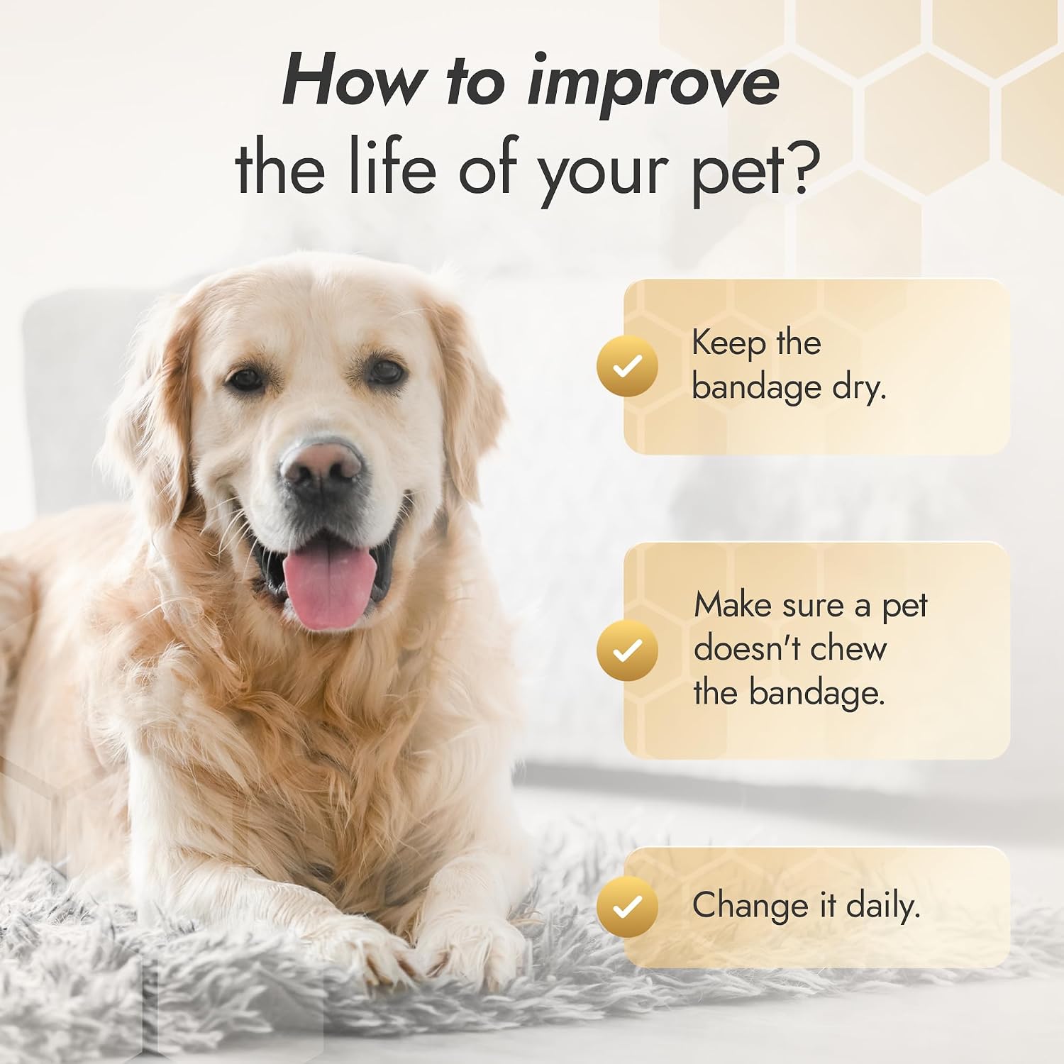 Dog Wound Care Wraps Stick to Itself, Protect from Licking and Dirt – Self-Adhering Elastic Cat & Dog Bandages for Wounds in a Set of 3 x 5 cm & 3 x 10 cm Rolls – Made from Natural Rubber Latex