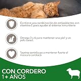 Ver la foto 3