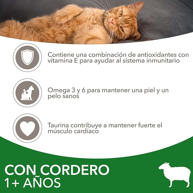 Foto 3 de 6 de IAMS Alimento Seco para Gatos Adultos con Cordero, 10 kg
