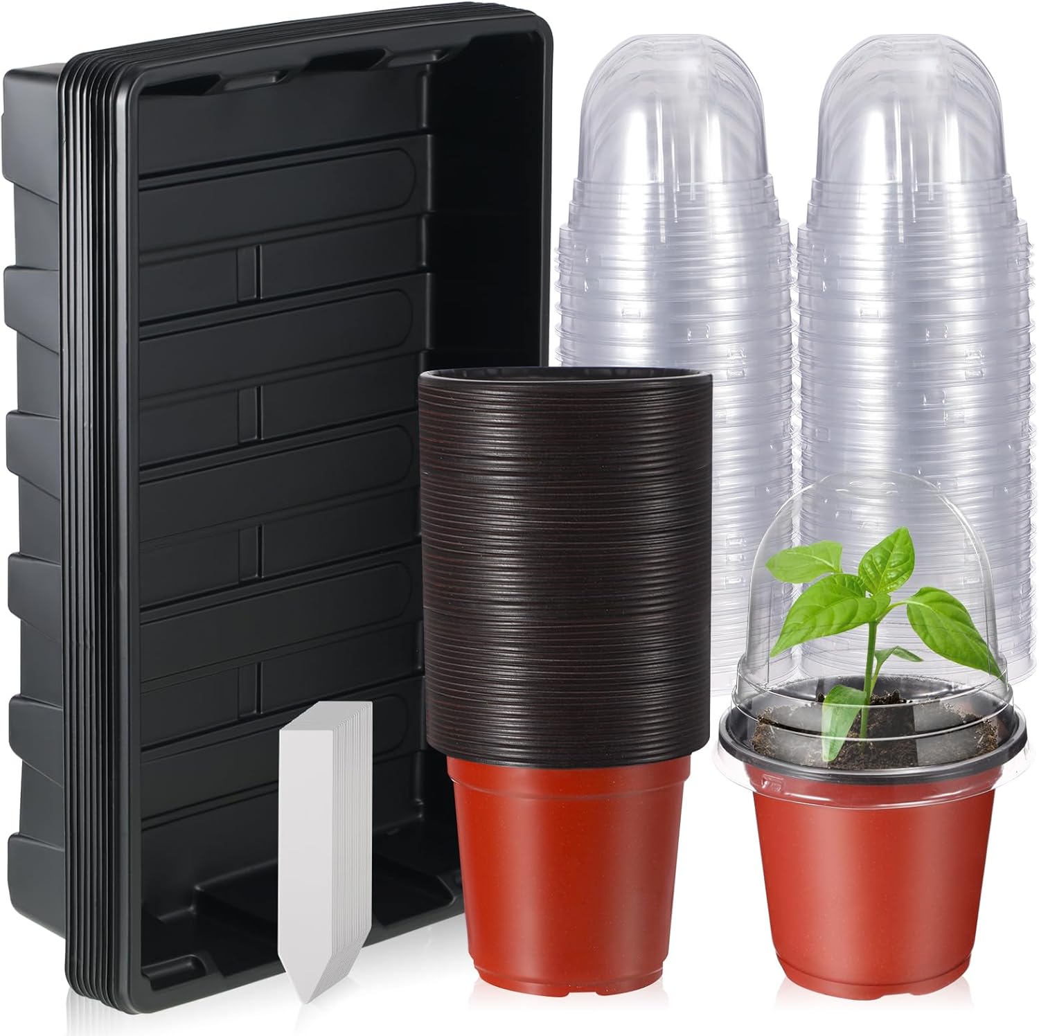 Hushee 70 Pcs Plant Trays Pot Set 10 No Holes Seedling Tray 14.5 x 9 x 2.3 Inch with 60 4 Inch Plastic Clear Plant Nursery Pots Gardening Pot Planting Containers 60 Plant Humidity Dome 60 Plant Labels
