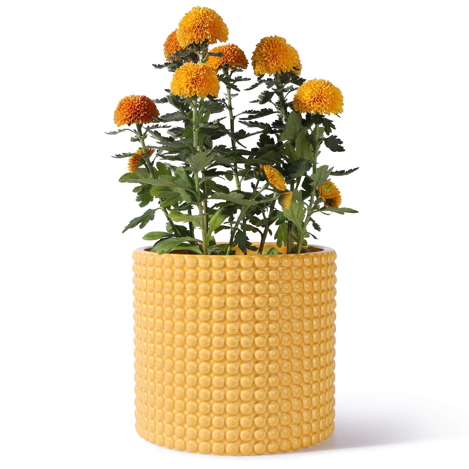 Amazon.com: 橙色黃色花盆室內植物- 8 英吋(約20.8 公分)陶瓷