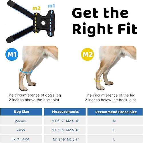 Miniatura 5 de Rodillera para perro para soporte de pierna trasera, soporte de compresión de articulación de hockey ACL para patas traseras, soporte estabilizador