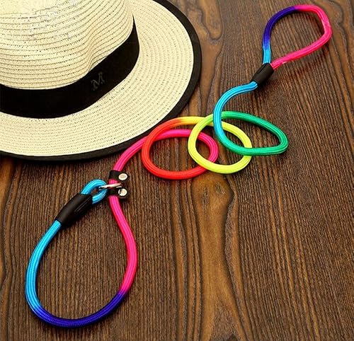 Miniatura 3 de yueton Correa de nailon para perros Rainbow Pet Cuerda de plomo ajustable