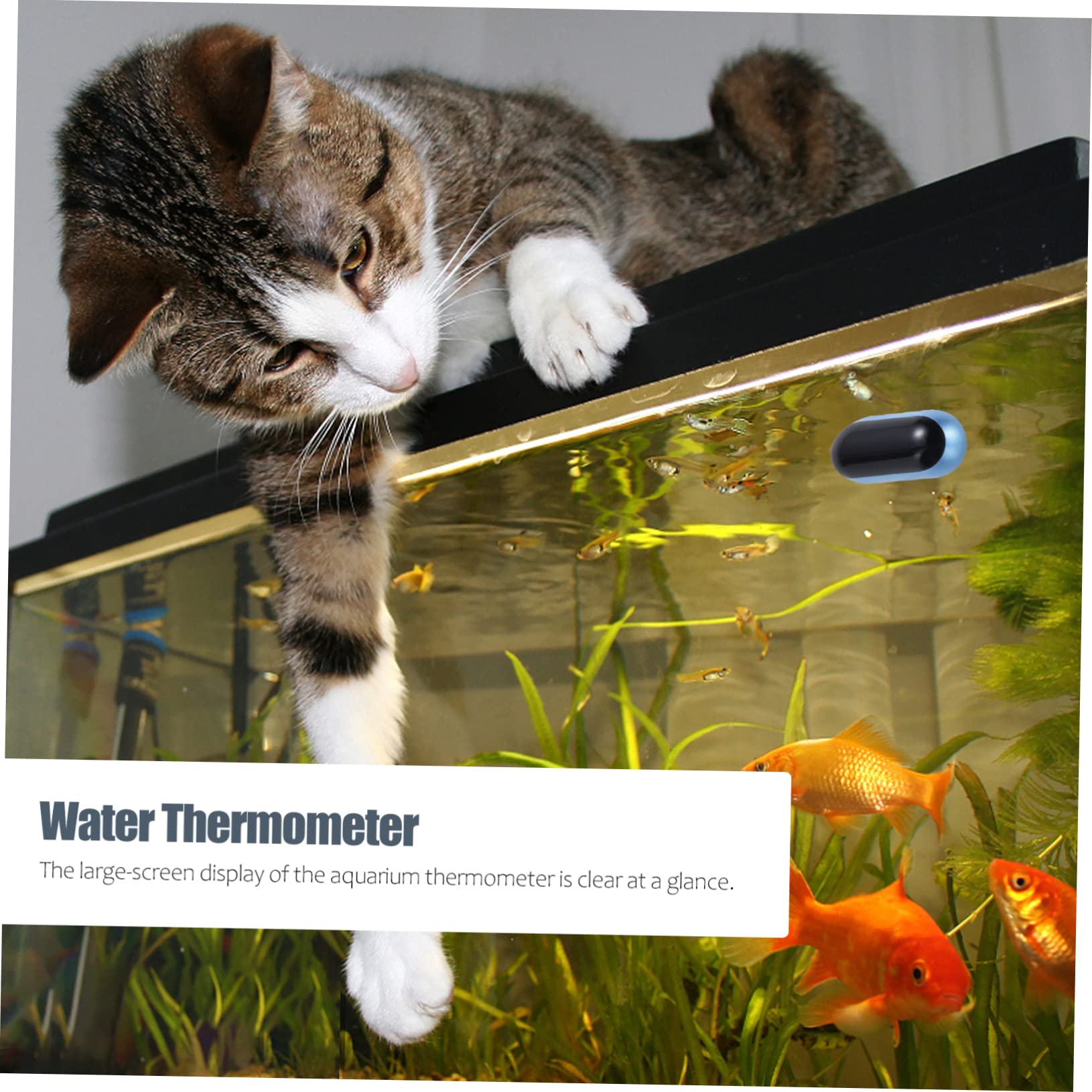 Kisangel 3stücke Aquarium Thermometer Mit Hochpräzisem Sensor Und -display Für Aquarien Und Terrarien Installieren Langlebig Und Kompakt Zur Genauen Temperaturmessung Von Wasser