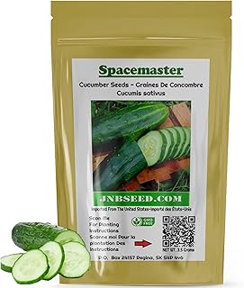 Spacemaster Cucumber Seeds for Planting (Approx. 100 Cucumber Seeds) Gardening Canada Heirloom Homesteading
