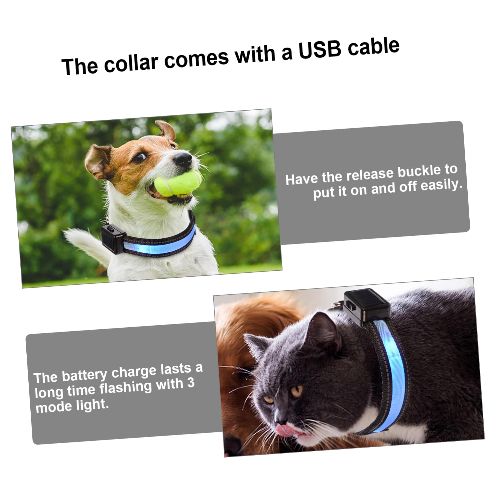 Beavorty 3ensembles Collier LED Lumineux pour Chiens Collier De Sécurité Rechargeable USB pour Animaux De Compagnie