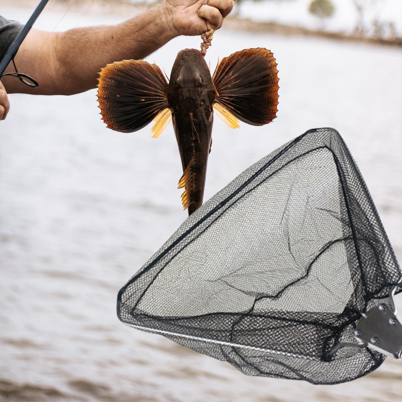 Rete da Pesca con Maglia in Nylon Resistente E Testa Triangolare in Acciaio Inox Rete Pieghevole Portatile per Sbarco Pesci Rete per Rilascio Pescator, 60 cm