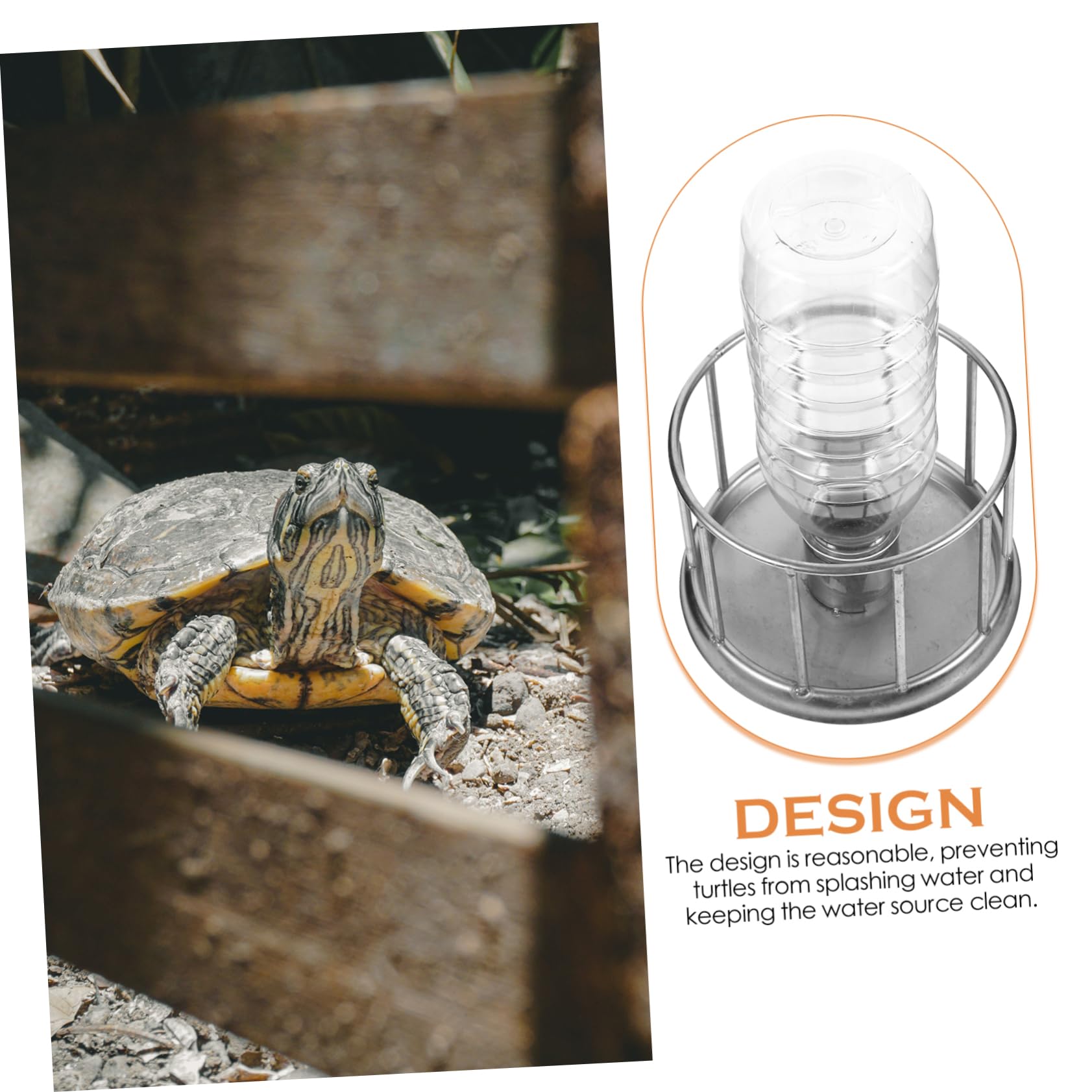 BESPORTBLE 5pezzi Ciotola per Rettili Inossidabile Abbeveratoio per Tartarughe e Domestici Design per Terrari e