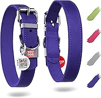 Vista 9 de WAUDOG Collar de cuero de larga duración para perros grandes, medianos y pequeños – Collares clásicos ajustables para cachorros de raza grande