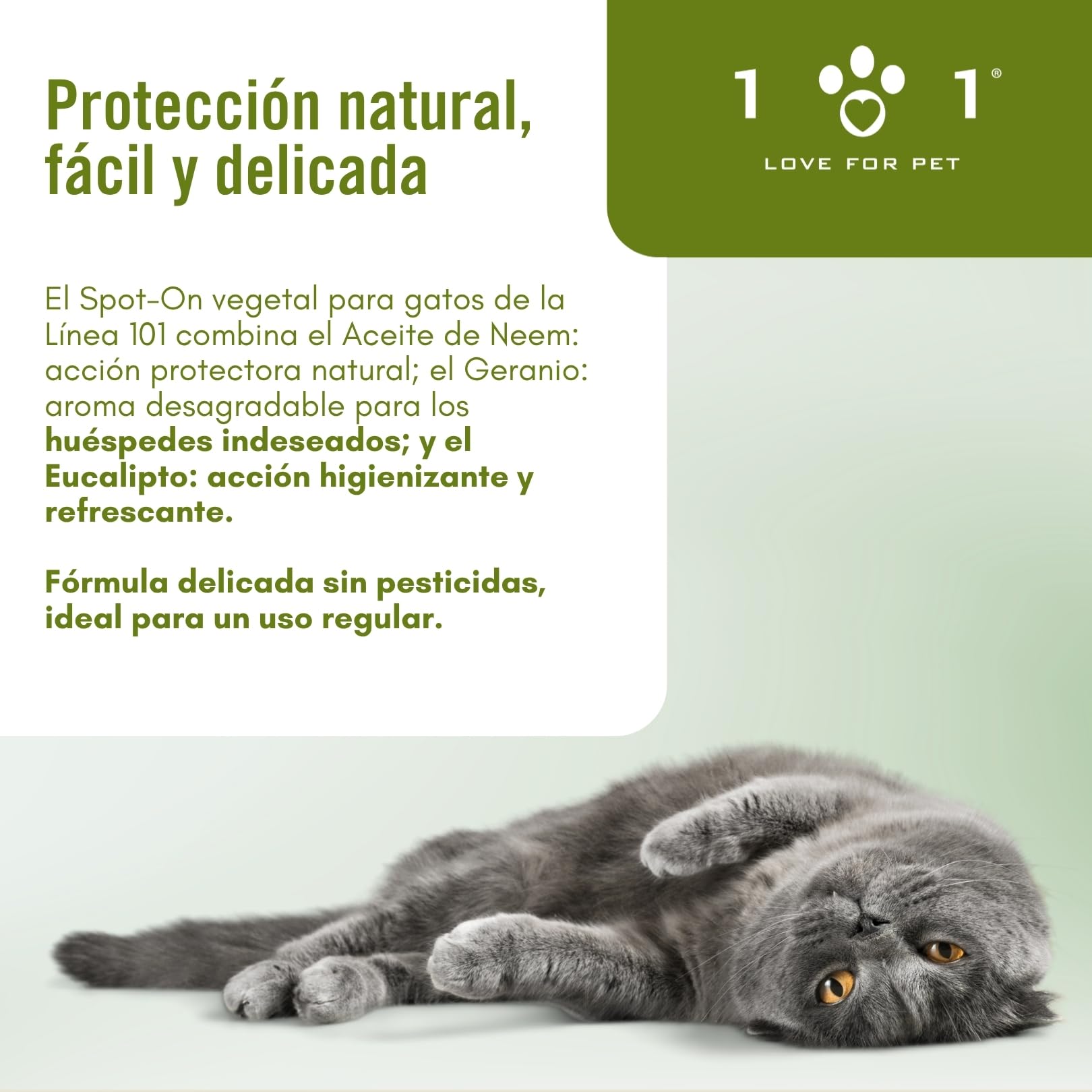 Pipetas Antiparasitarias Gatos 6 de 0,5ml Aantipulgas Gato contra Garrapatas y Mosquitos, Neem y Aceites Esenciales, Larga Duración