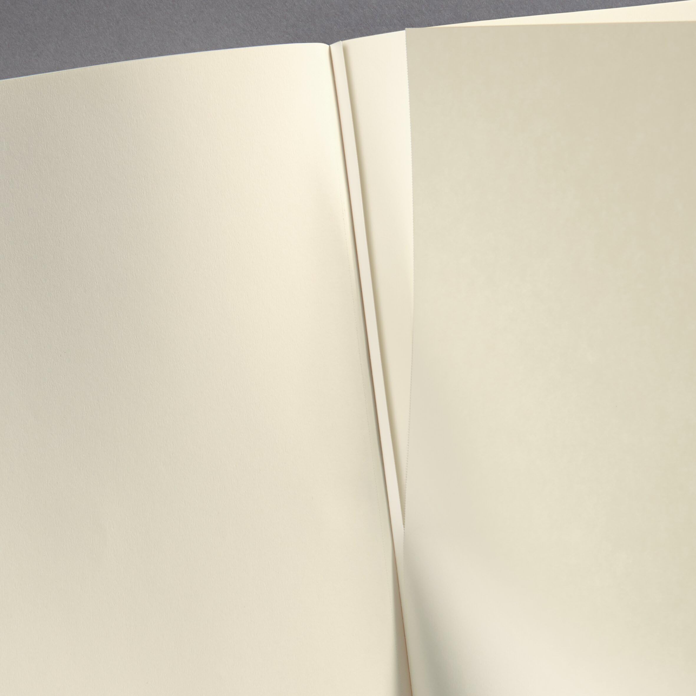 SIGEL CO684 Premium Notizbuch A4 blanko blau, Hardcover, 194 nummerierte Seiten, nachhaltiges Papier, mit Inhaltsverzeichnis, Stiftschlaufe, Falttasche, Gummibandverschluss, Conceptum