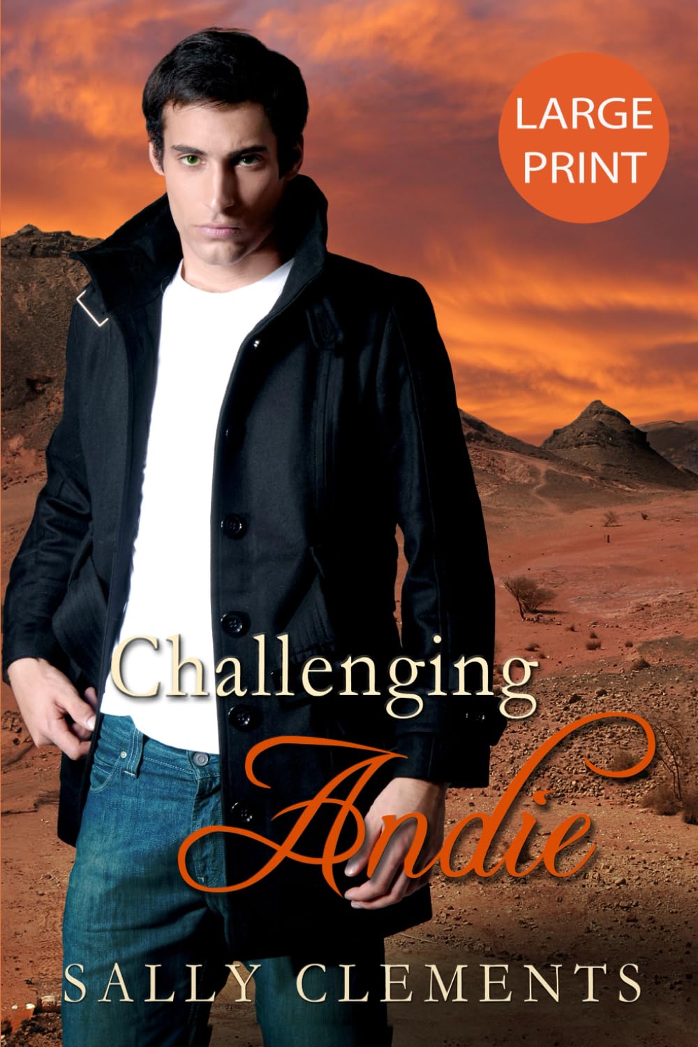 Challenging Andie: Large Print Edition (Sally Clements Large Print Editions)