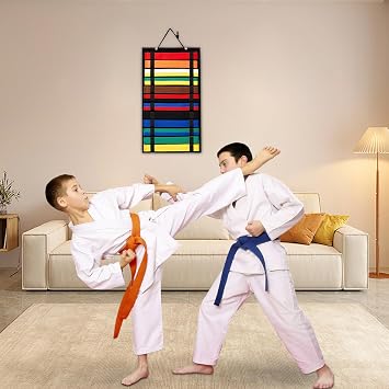 12 Belts Karate Belts Display Rack - Martial Arts Belt Display Holder Belt Hanger Taekwondo Belt Organizer, Equipment for Taekwondo Coaches Students Enthusiasts Adults Teens Kids (No Belts)