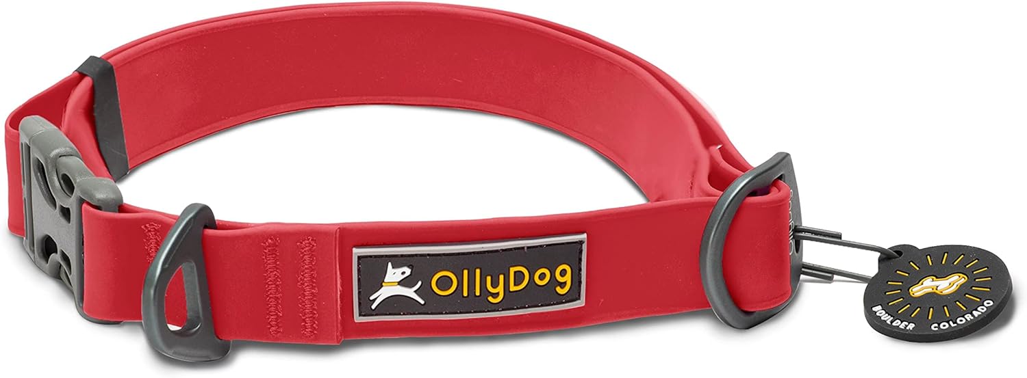 stink proof dog collar