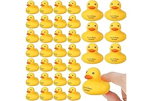Leitee Ducks for Ducking You've Been Ducked Jeep Ducks Mini Ducks Bulk