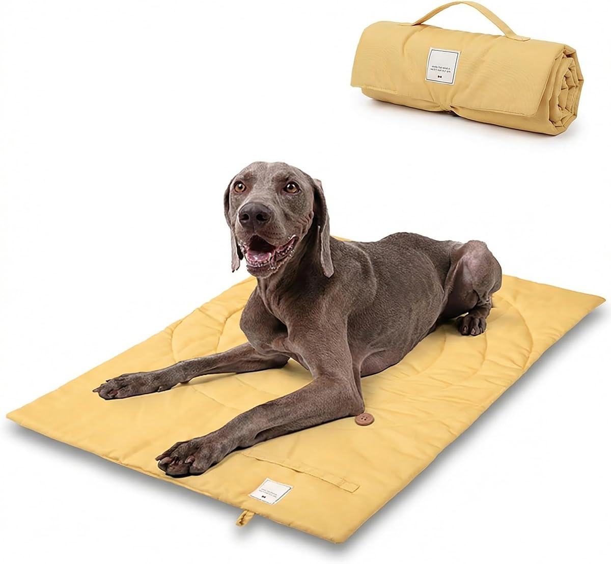 Lightly Padded Roll-Up Travel Dog Mat Settle & Place Training | Water-resistant Oxford fabric, visual target, carry handle and machine-washable design for camping, parks and cafes.