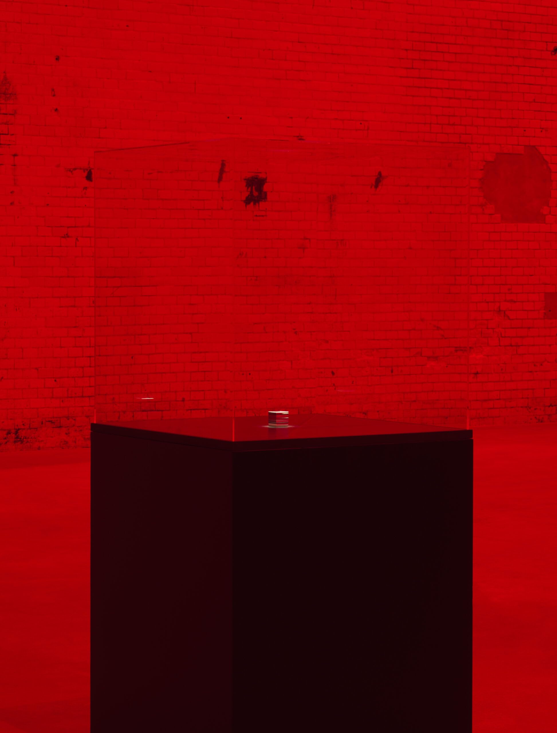 The End of the World /anglais/allemand: Alfredo Jaar