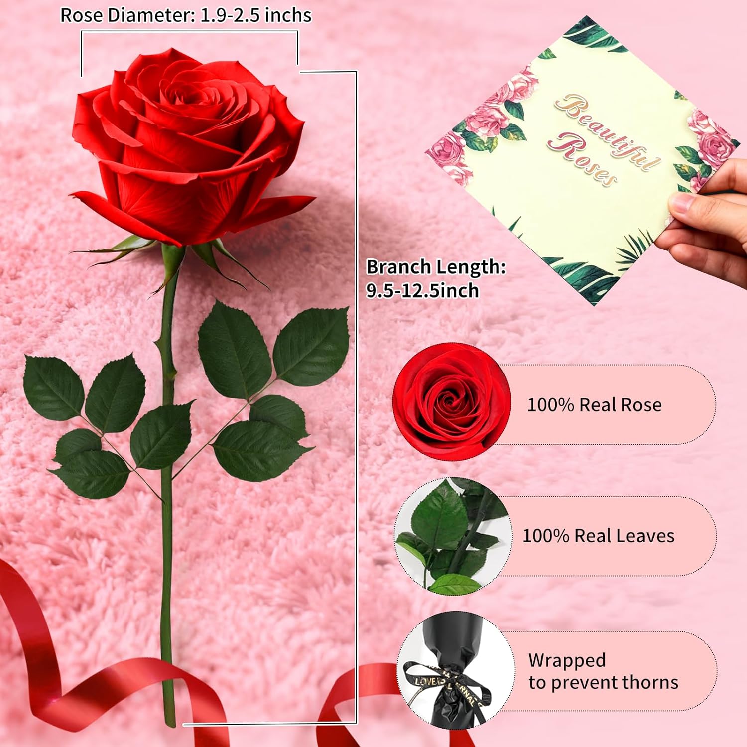 Single Forever Roses in a Box,Preserved Flowers for Delivery,Preserved Rose Gifts for Women, Real Roses Gift for Her, Mom Birthday Gifts, Mothers Day Flowers,Valentines Flowers,Presents for Her,Red - Image 2