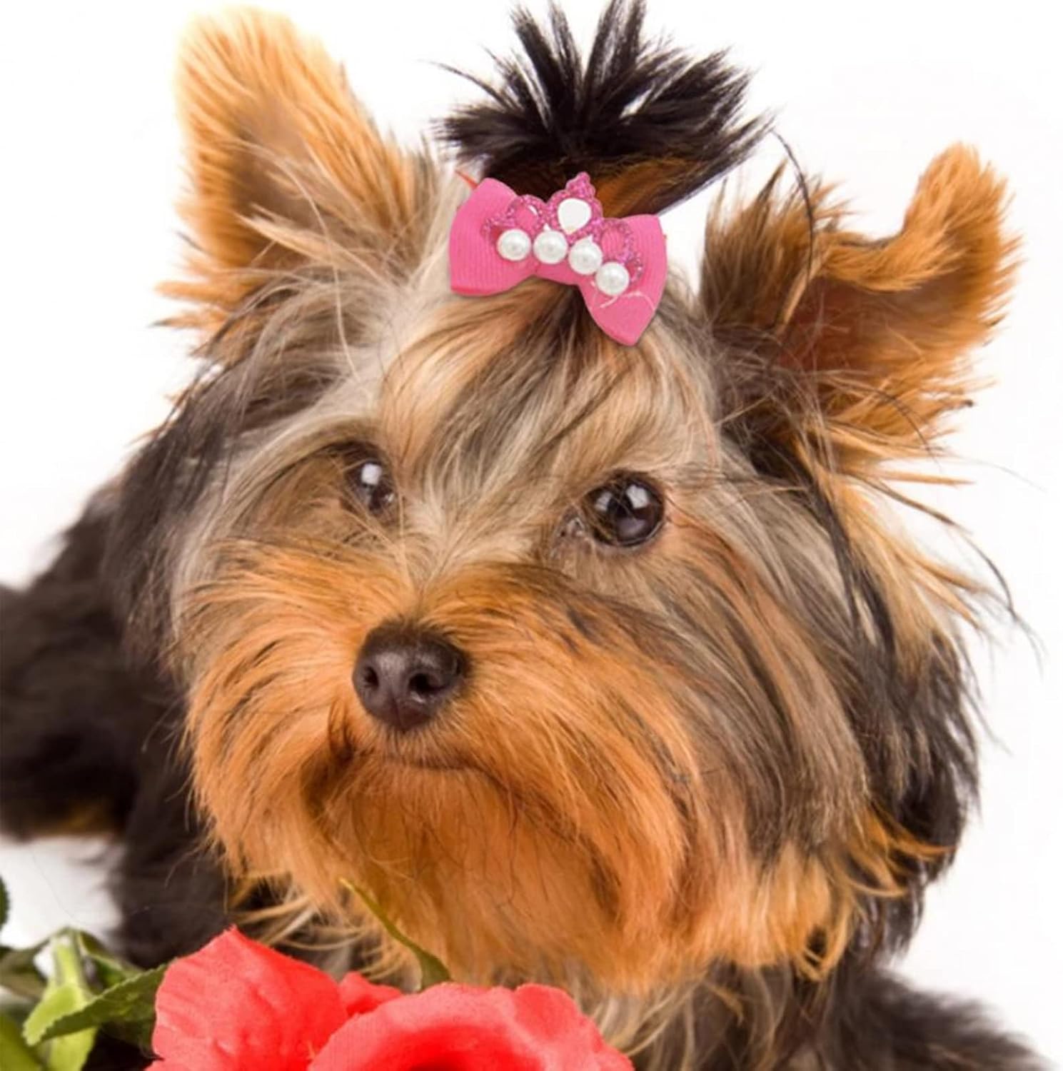 Dog Hair Bows with Rubber Bands - Image 3