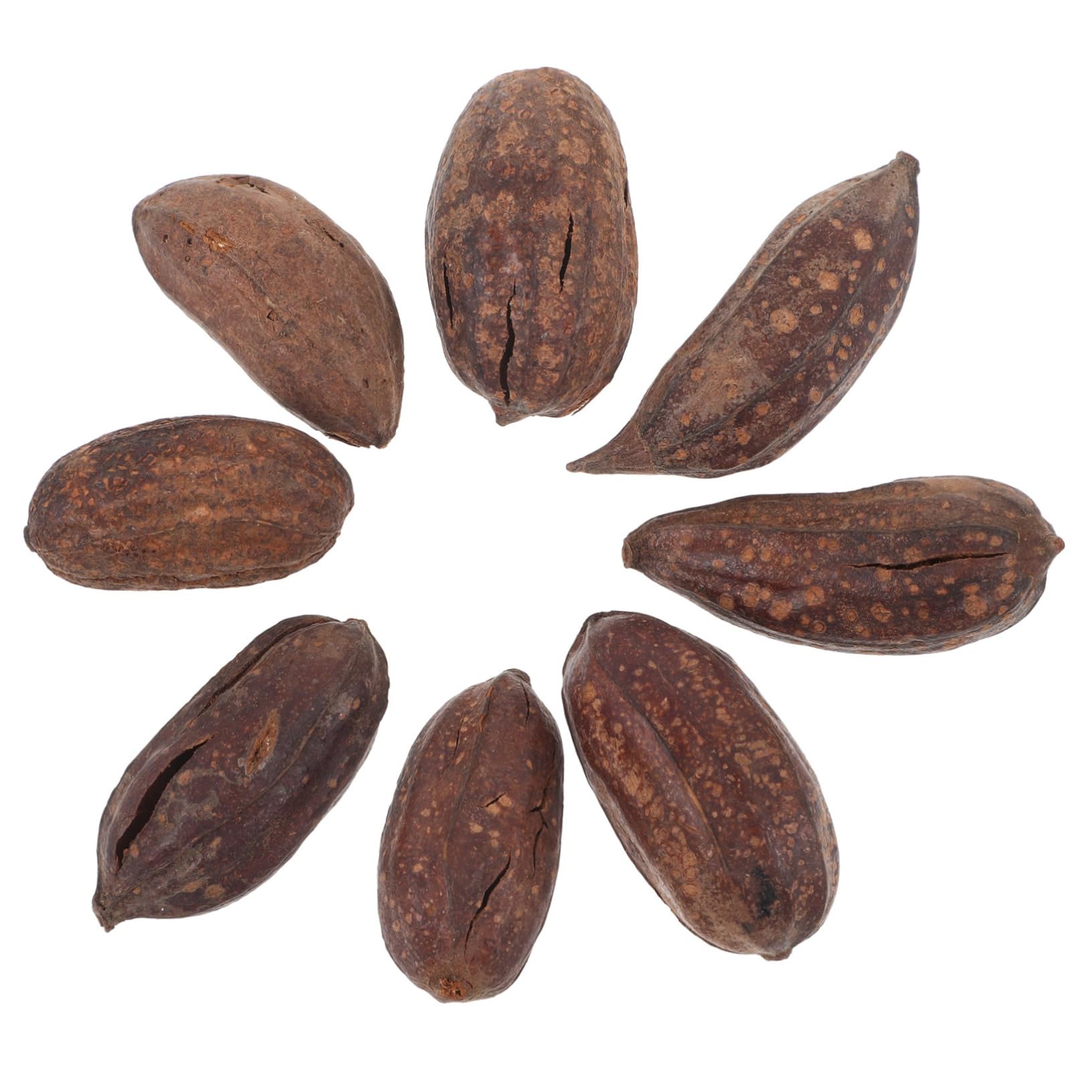 GRIRIW Parrot Chewing Accessories Pcs Dried Fruit Bird Toys for Macaws Budgies