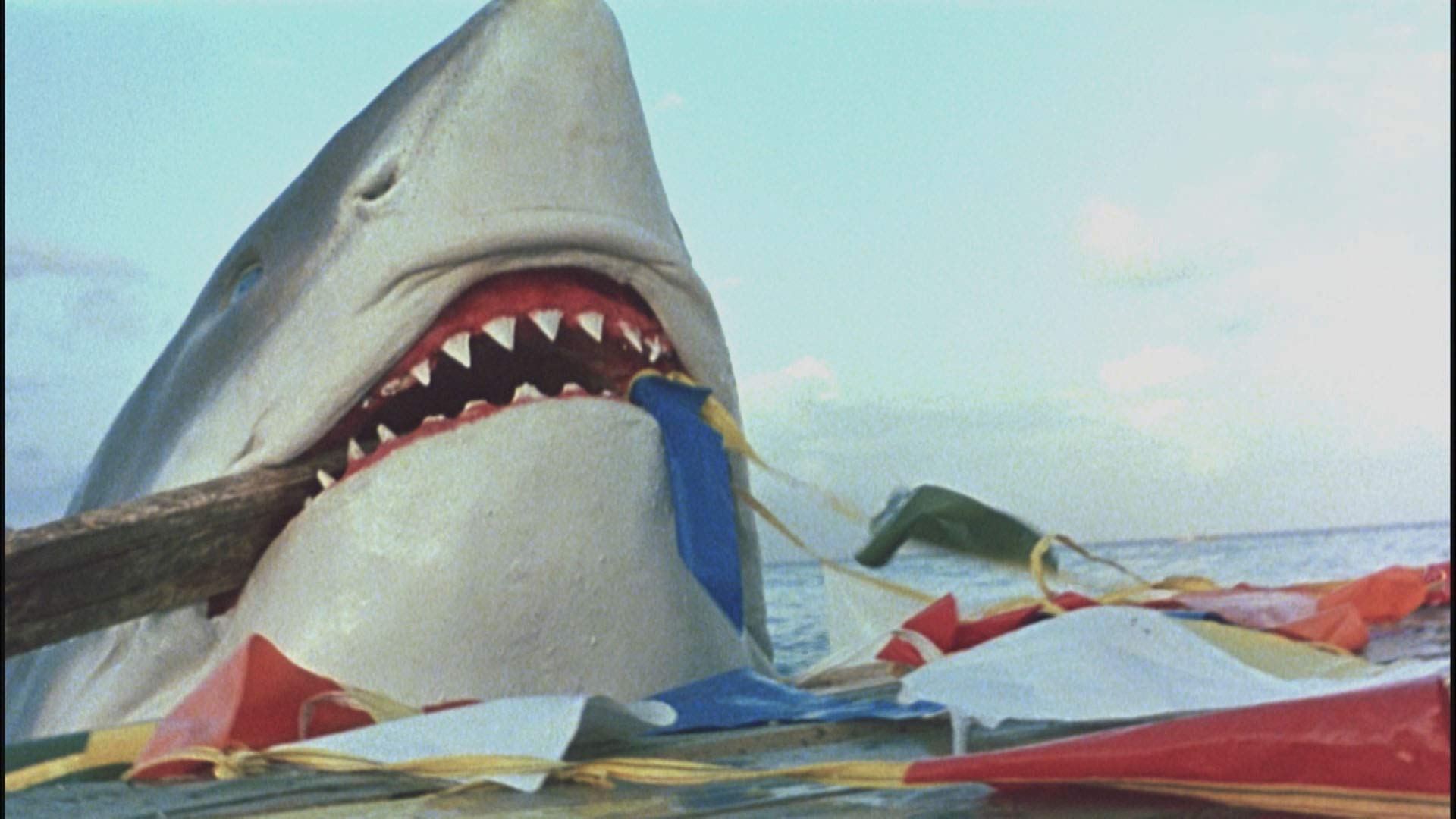 Cruel Jaws Desertcart Seychelles