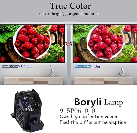 915P061A10 915P061010 TV Lamp with Housing for WD-65734 WD-57733 WD-57734 Models