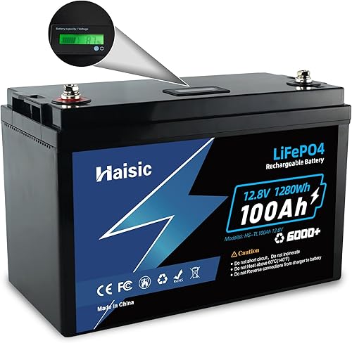 Batería LiFePO4 de 12 V 100 Ah, batería de fosfato de hierro de litio de 100 ah, batería Lifepo4 de 1280 Wh, BMS de 100 A integrado, perfecta para