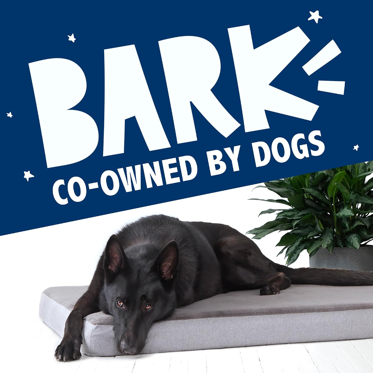 Barkbox Orthopedic Dog Bed with Memory Foam, Premium Comfort for Dogs and Puppies, Dog Bed for Joint Relief and Restful Sleep, Durable and Easy to Clean - Grey, XXL
