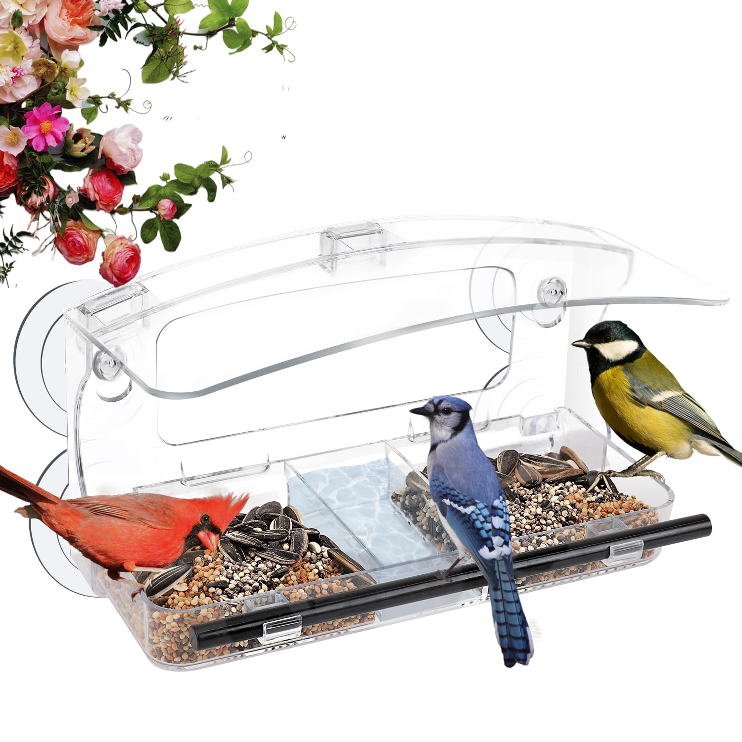 MrCrafts Mangeoire à Oiseaux Avec Ventouses Puissantes, Mangeoires à Oiseaux Transparentes Pour Observation Mangeoires A Oiseaux Pour Lexterieur A Lexterieur Plusieurs Types Doiseaux