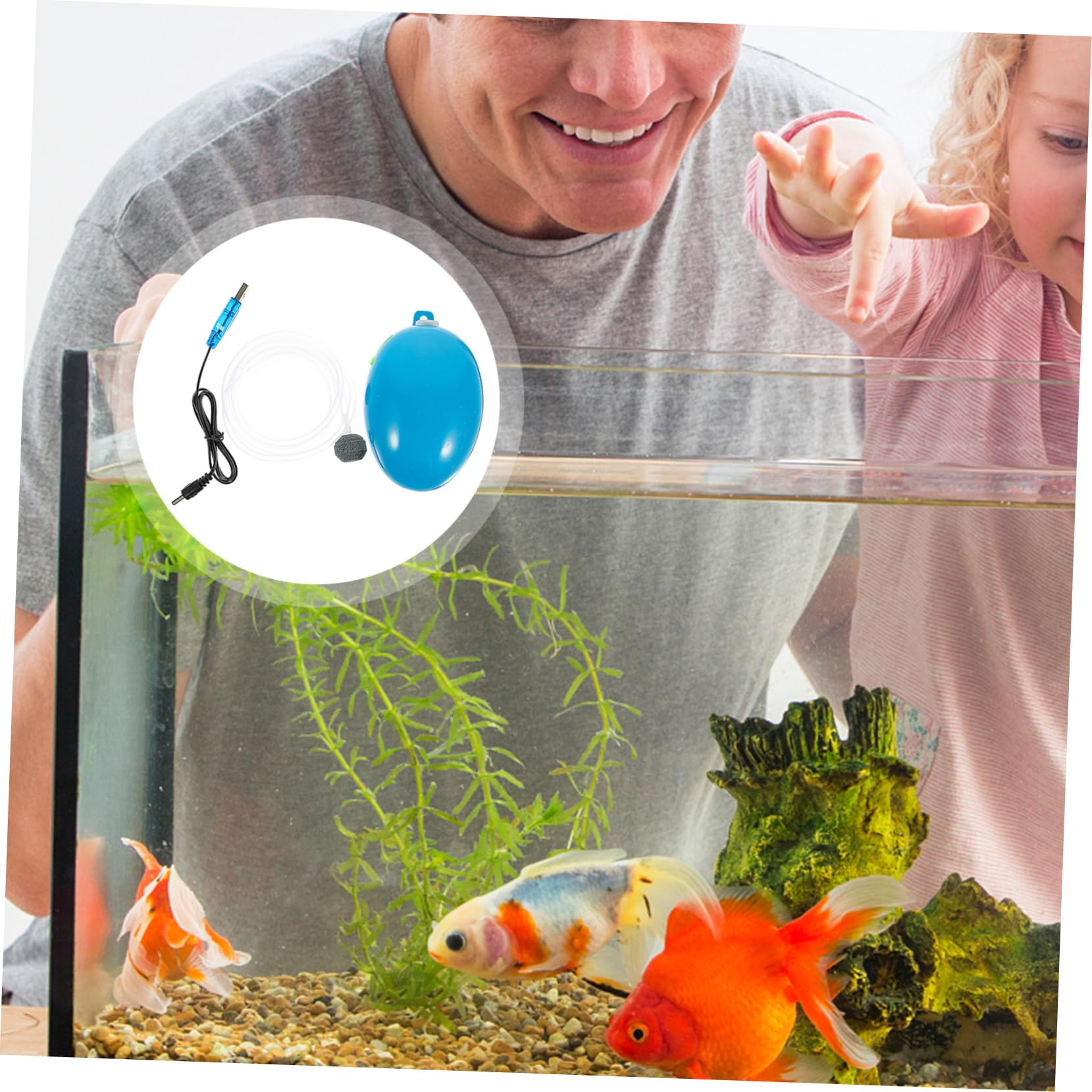 Bomba de oxigeno para pecera Suministro pecera Accesorios ambientador Bomba de Aire Piscina característica Tanque de Peces Suministro de Pesca Abdominales Blue