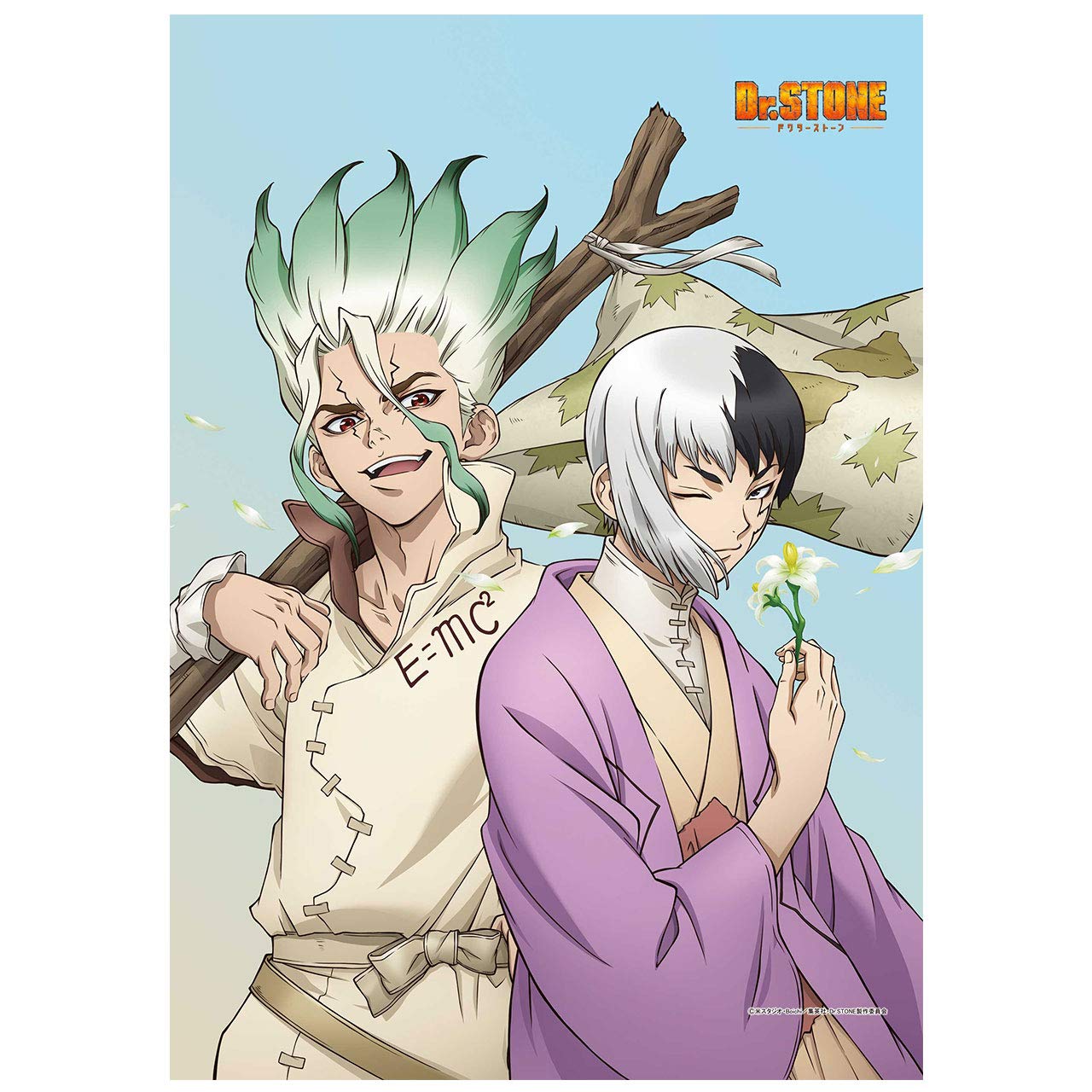 Amazon.co.jp: Dr.STONE B2タペストリー : ホーム＆キッチン